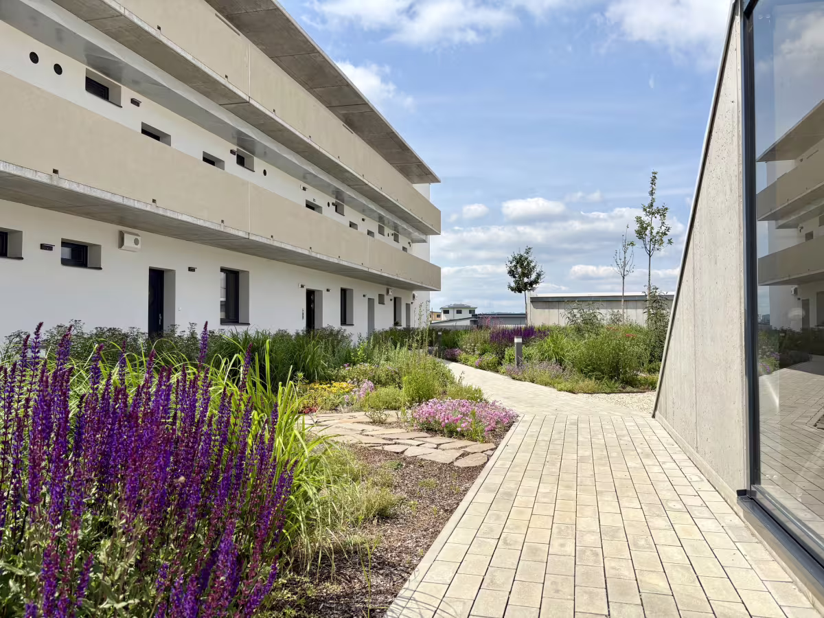 Rezidence na Františku