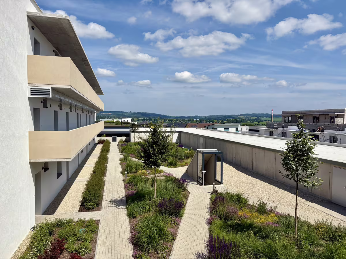 Rezidence na Františku