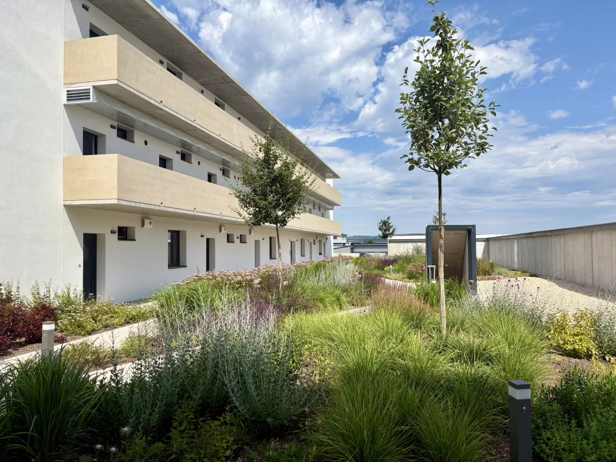 Rezidence na Františku