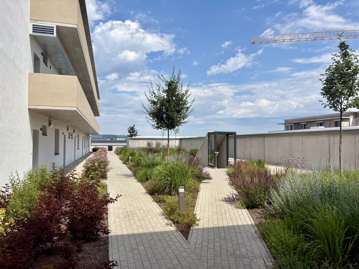 Rezidence na Františku