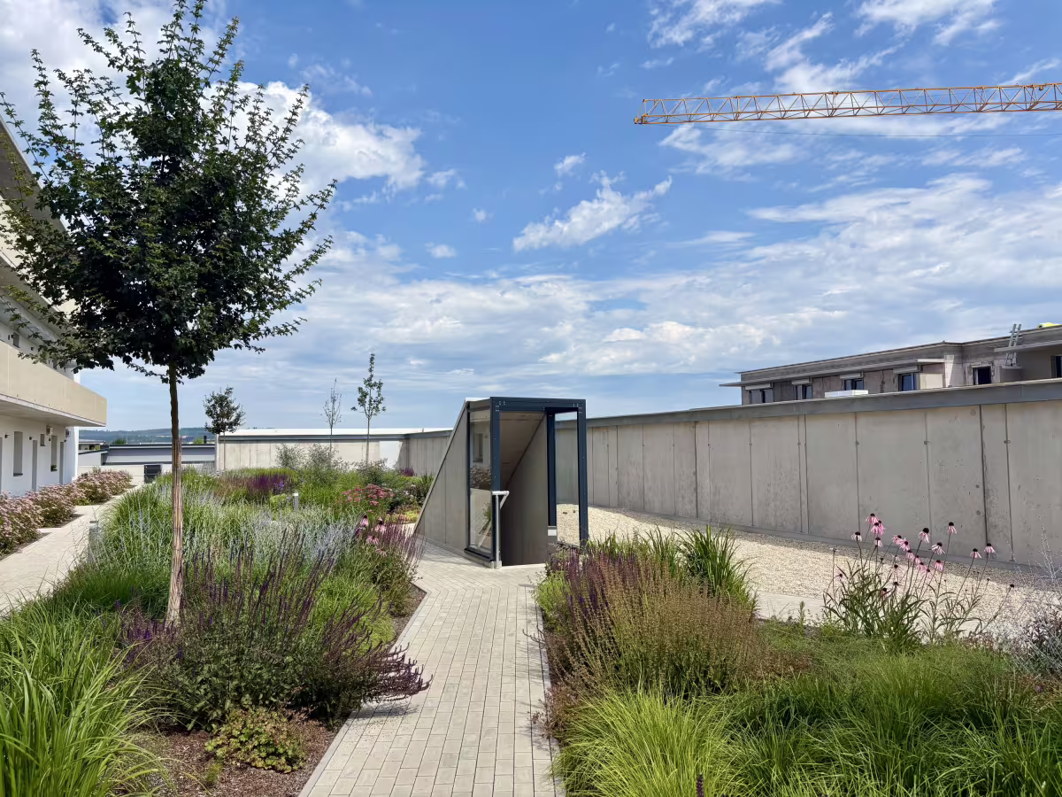 Rezidence na Františku