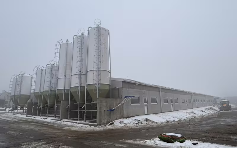 Právě realizujeme: Výkrm prasat – Telč