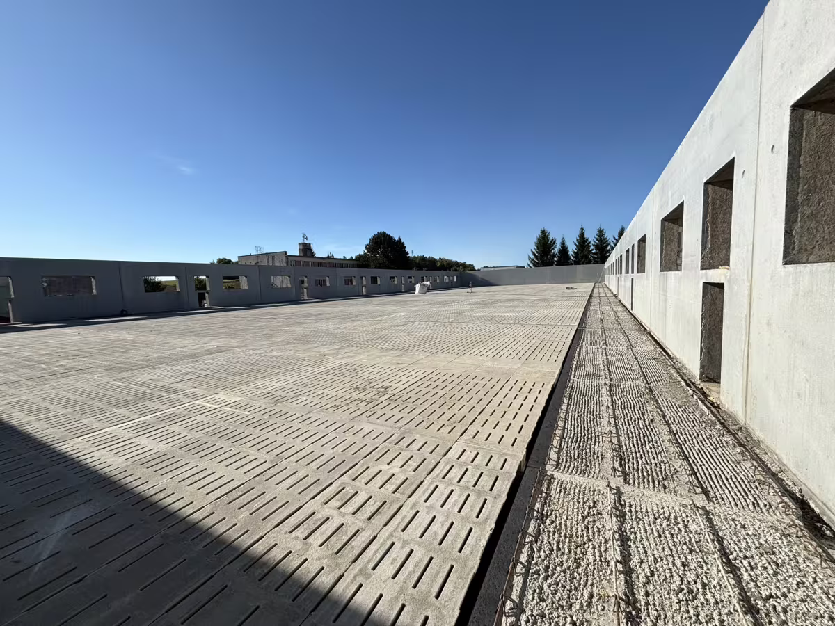 Právě realizujeme: Výkrm prasat – Telč