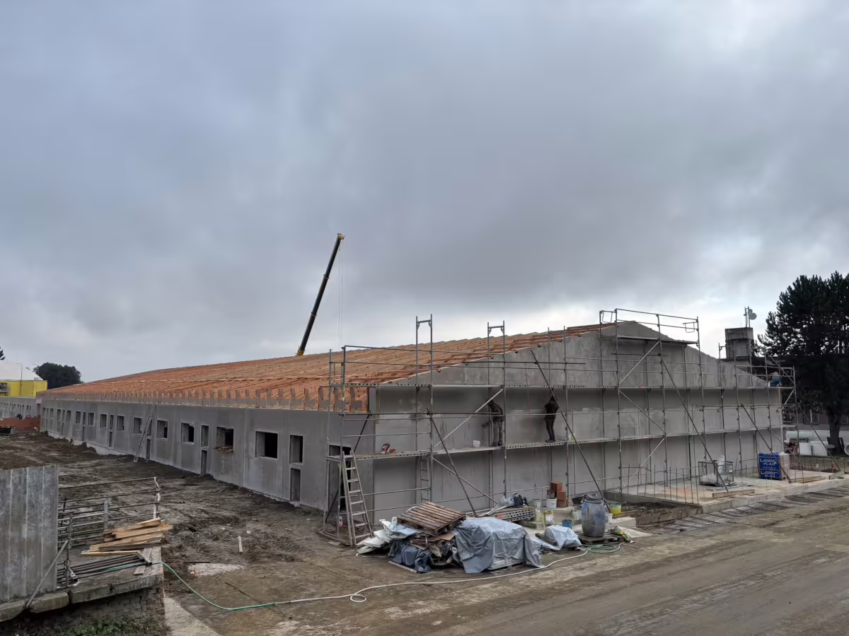 Právě realizujeme: Výkrm prasat – Telč
