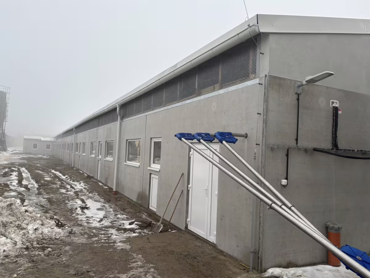 Právě realizujeme: Výkrm prasat – Telč