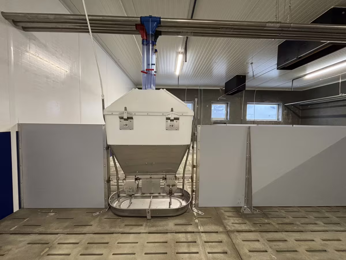 Právě realizujeme: Výkrm prasat – Telč