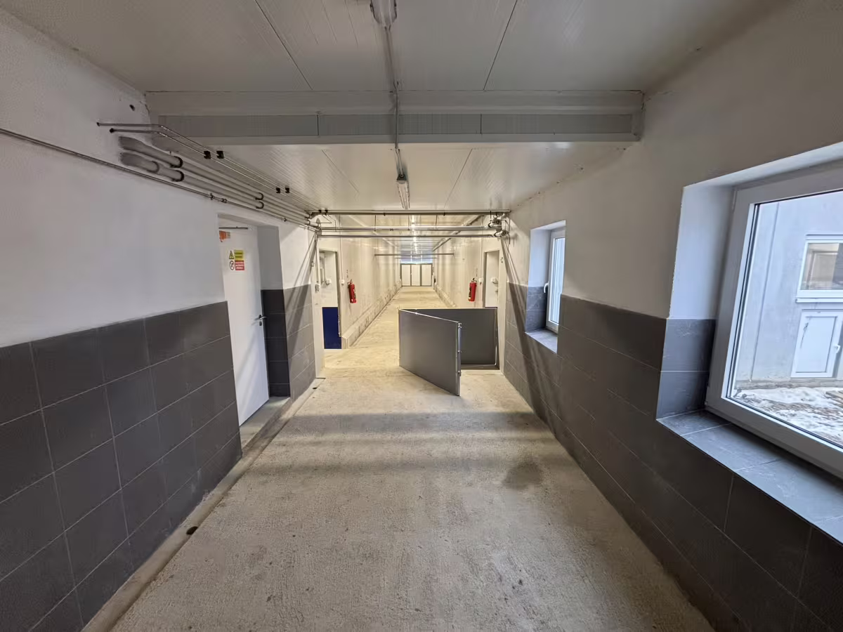 Právě realizujeme: Výkrm prasat – Telč