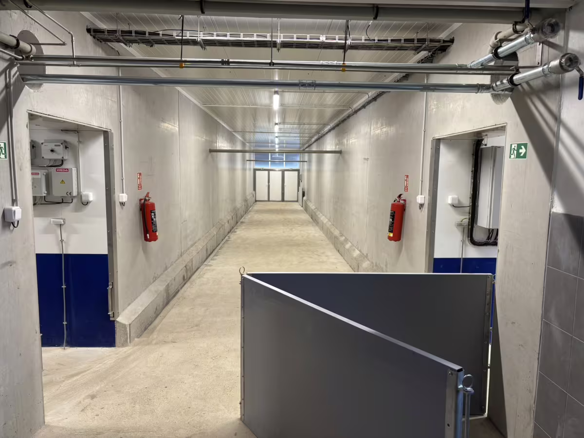 Právě realizujeme: Výkrm prasat – Telč