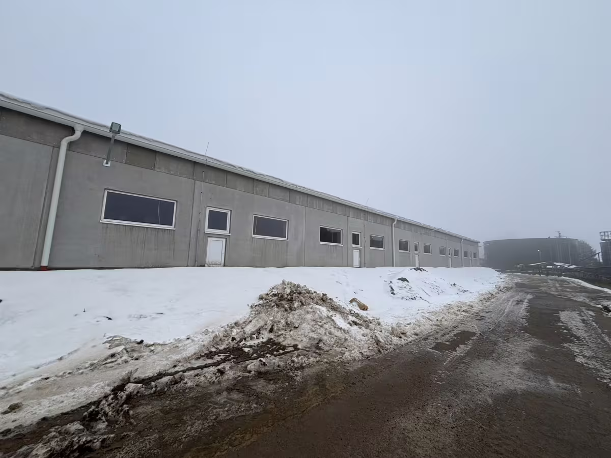 Právě realizujeme: Výkrm prasat – Telč